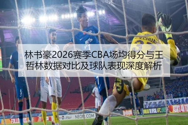 林书豪2026赛季CBA场均得分与王哲林数据对比及球队表现深度解析